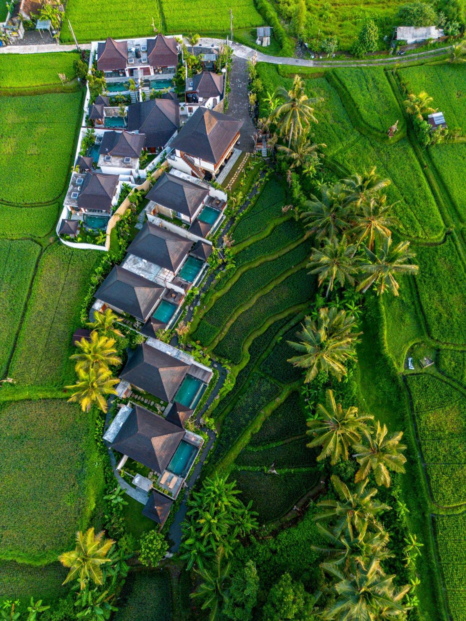 Dewi Kunti Villa Tegallalang  Exterior photo