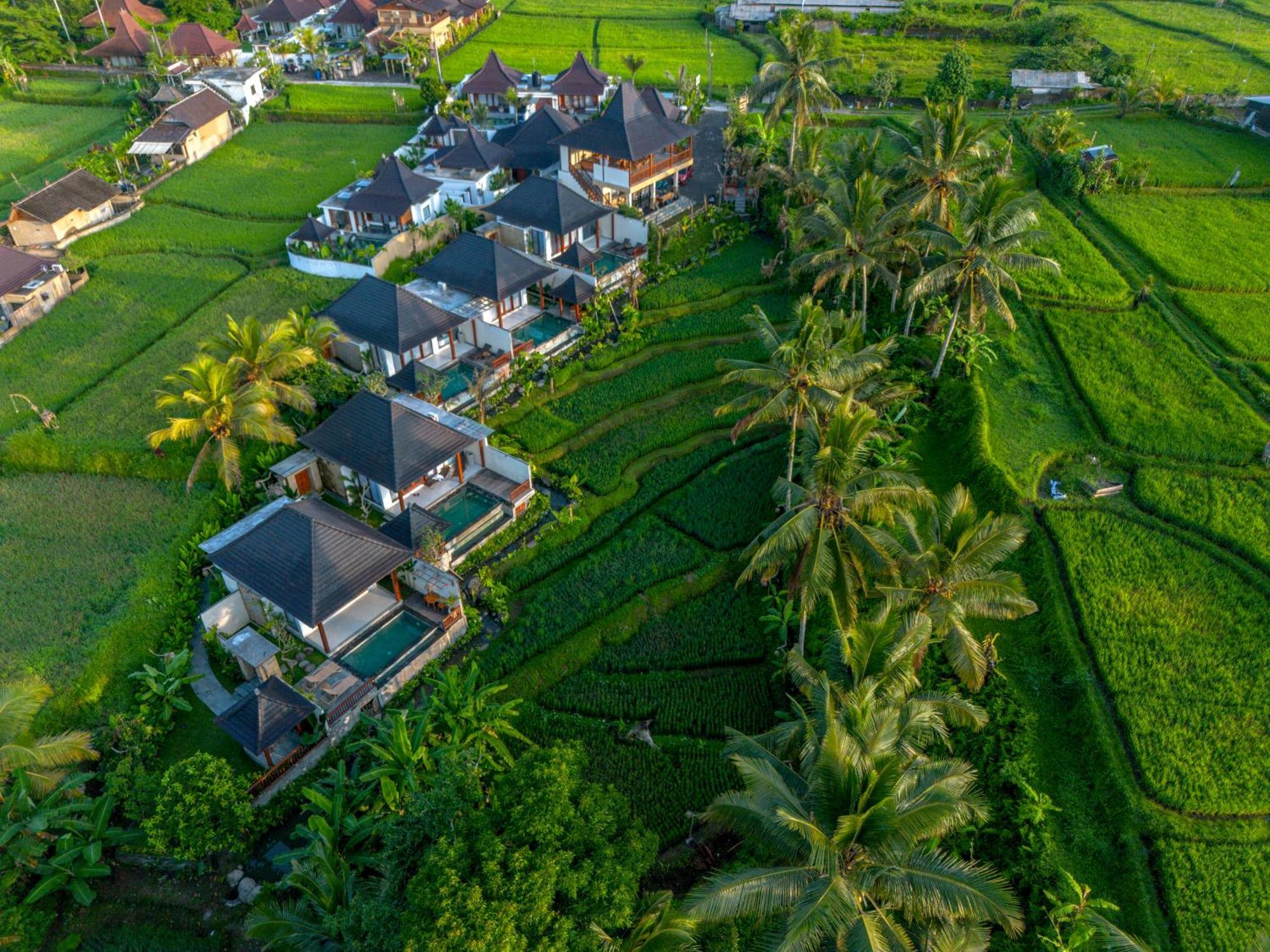 Dewi Kunti Villa Tegallalang  Exterior photo